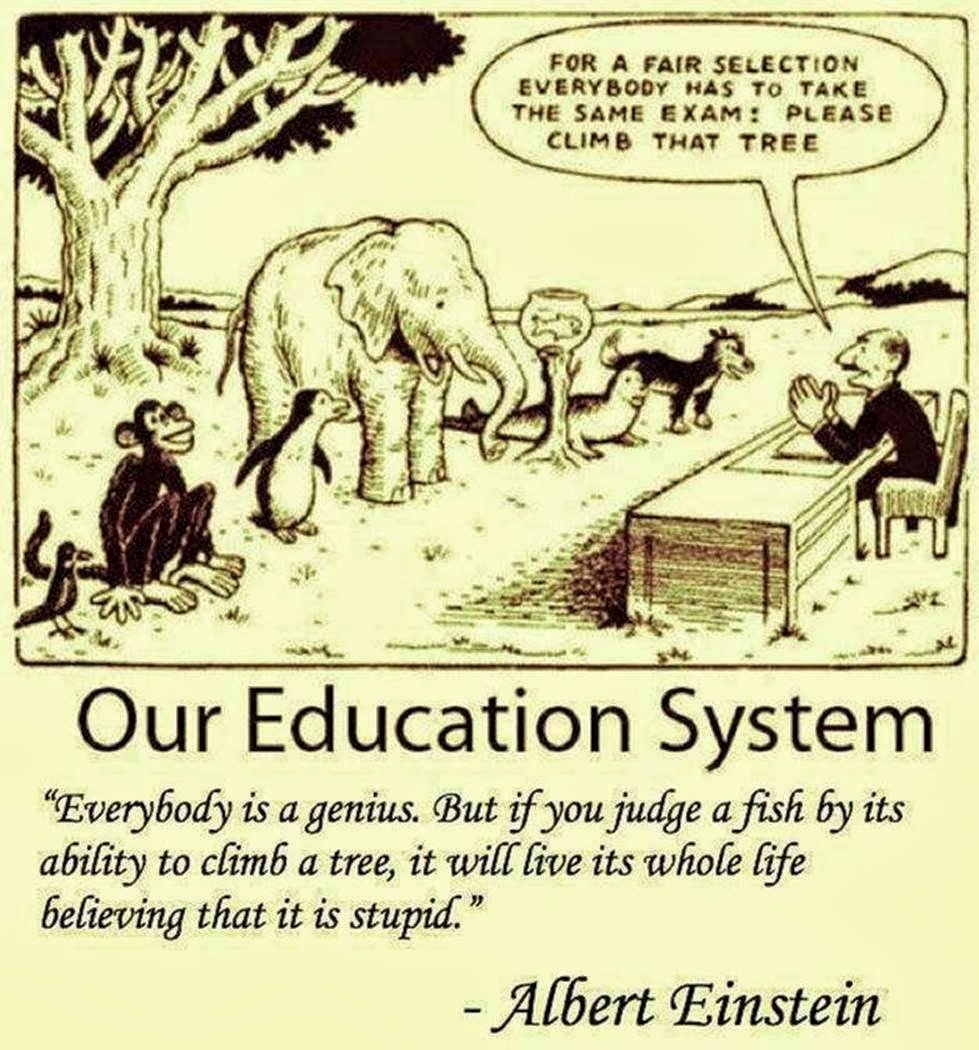 image-1360991-fish1481243029-education1.jpg